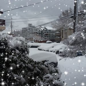 Meet your Posher, Cary